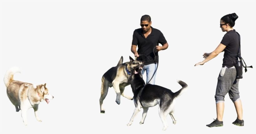 Person Walking Dog Png Download - Dog, transparent png download