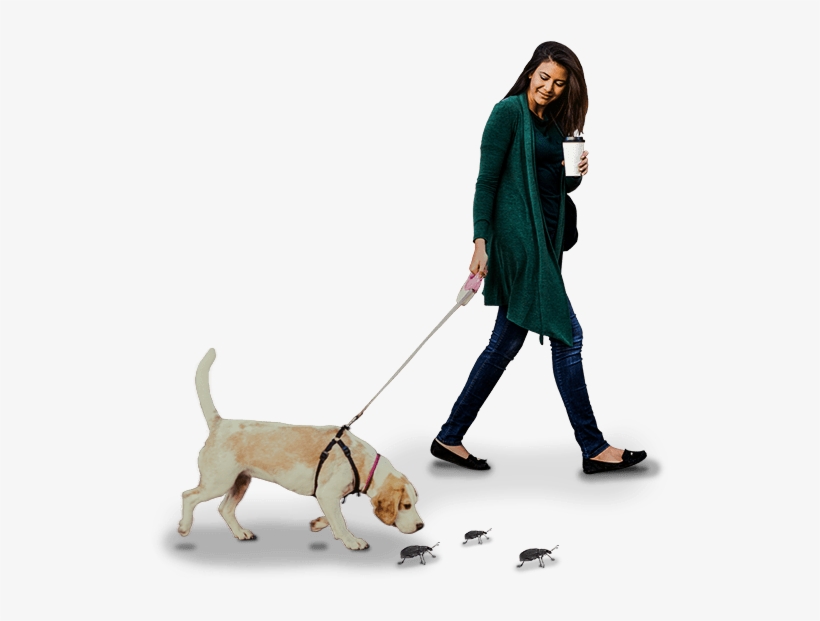 Discover - Dog Walking, transparent png download