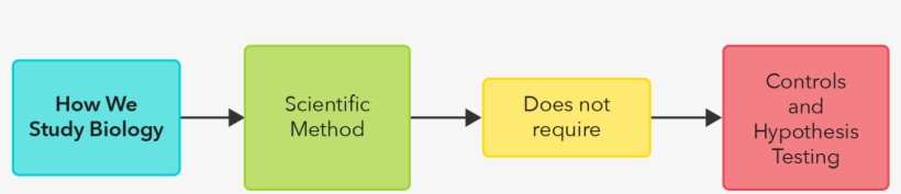 1 Scientific Method - Sign, transparent png download