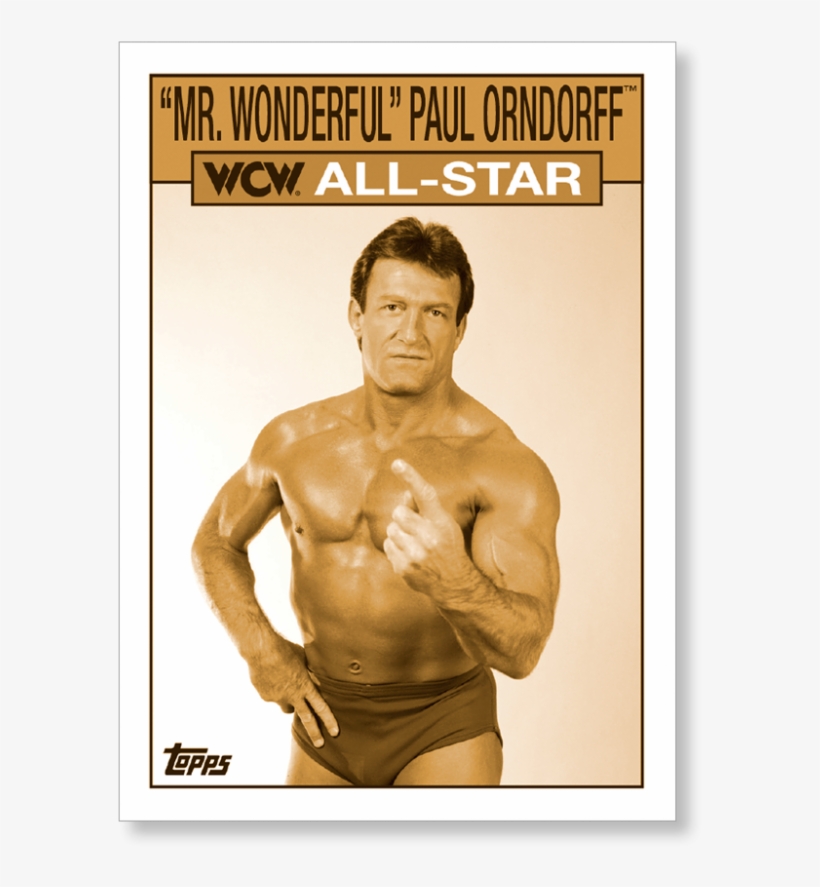 Close Zoom - " - Paul Orndorff Bad Arm, transparent png download
