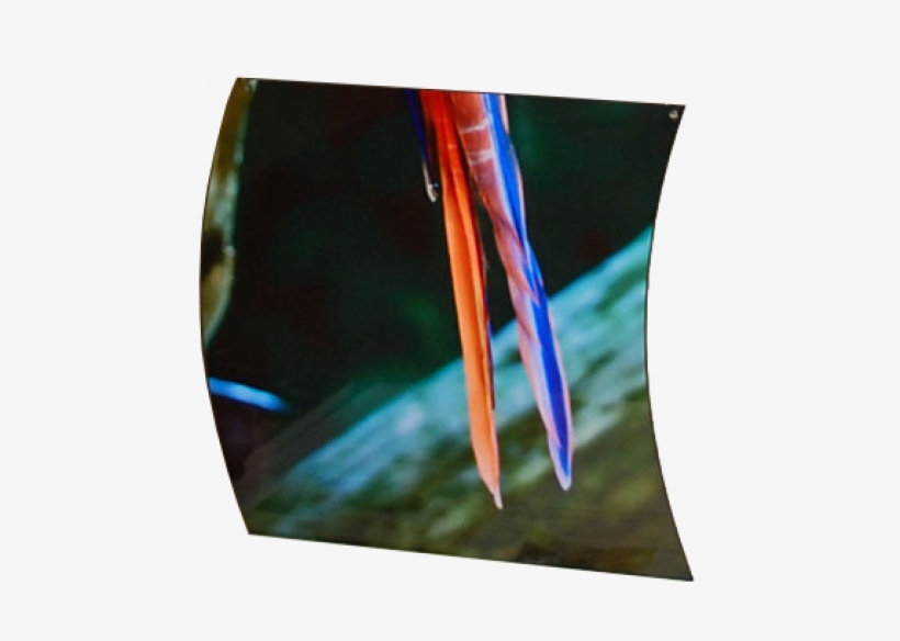 Subli-mural Gloss White 12" X 12" Bottom Sway Tile - Mural, transparent png download