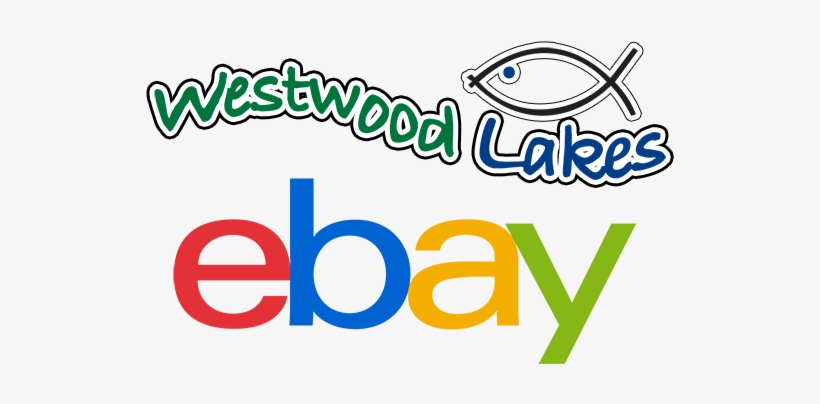 We Have Found That The Best Way To Give You The Range - Ebay Gift Card 25, transparent png download