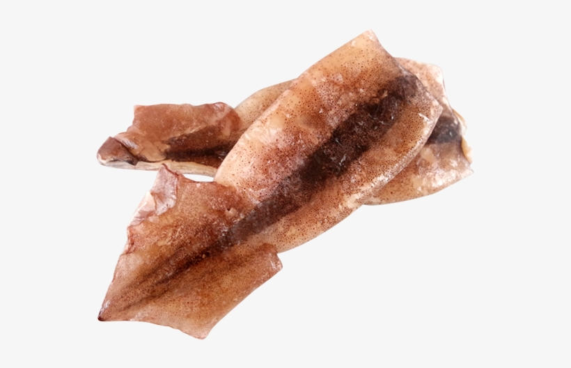 Squid Transparent Images - Sotong Png, transparent png download