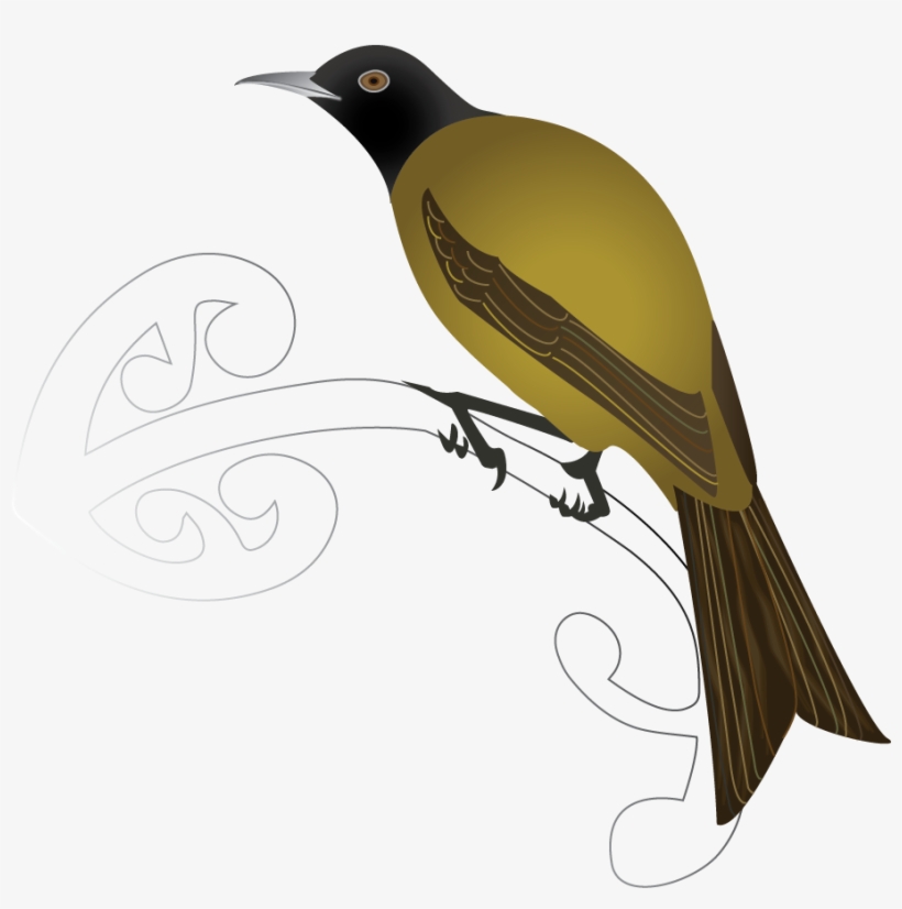 Chatham Bellbird - Old World Oriole, transparent png download