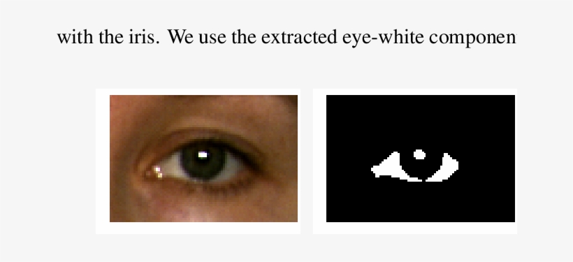 Eye Area From Original Image - Eye, transparent png download