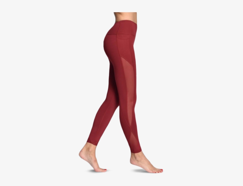 Red Mesh Workout Leggings, transparent png download