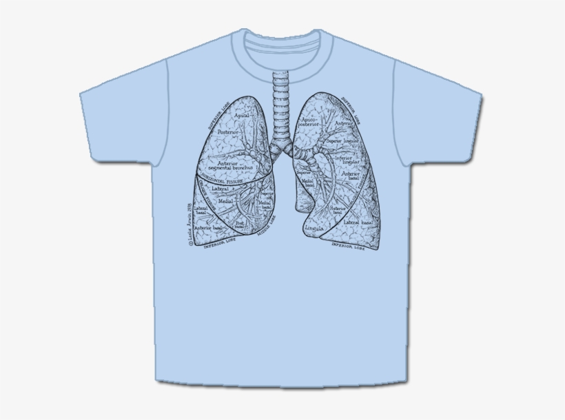 Respiratory-short, transparent png download