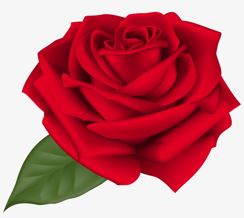 Rose Red Transparent Png Clip Art Image, transparent png download