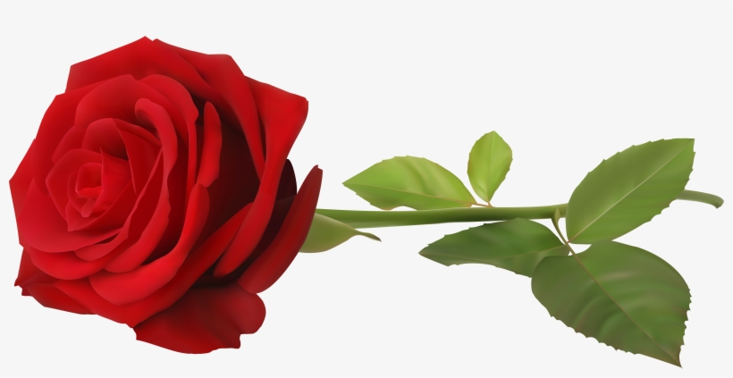 Red Rose With Stem Transparent Png Clip Art Image - Rose Png, transparent png download