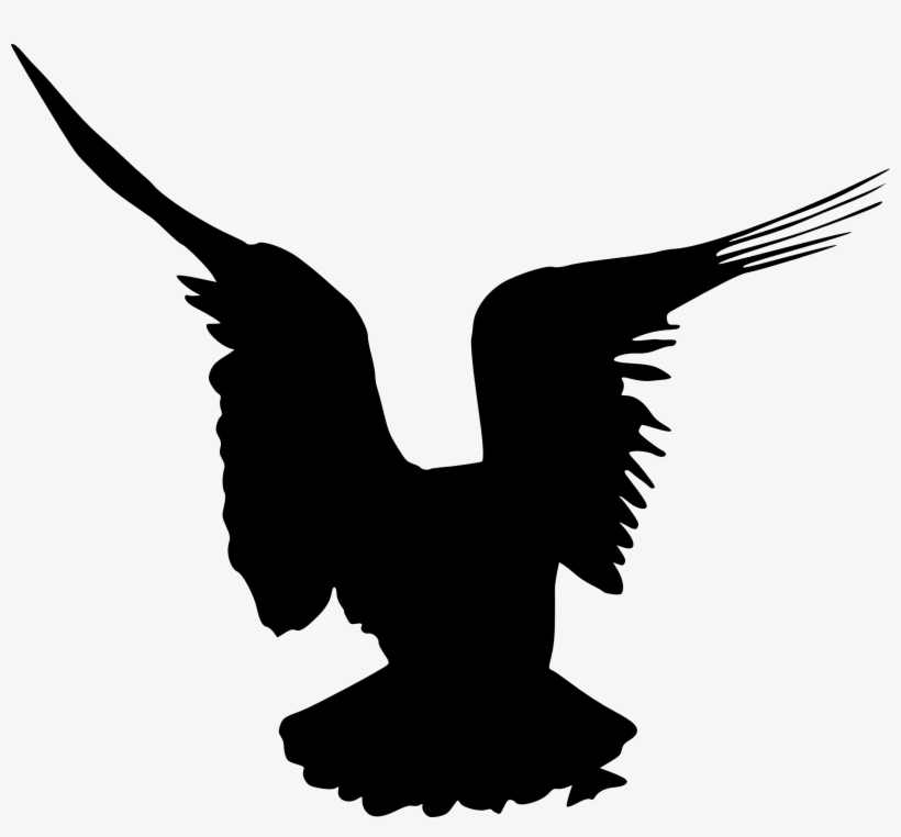 Free Download - Buzzard, transparent png download