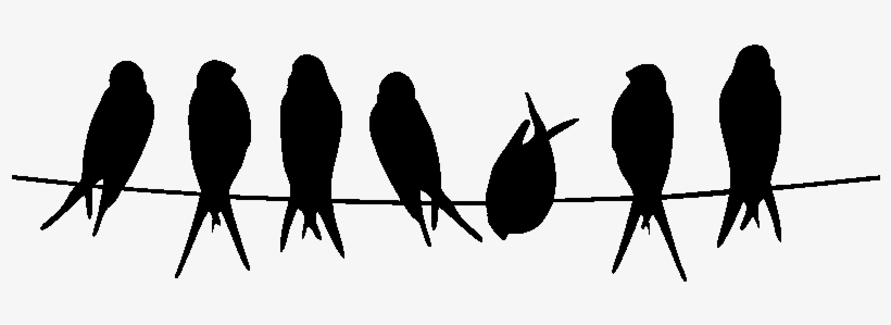 Mss Een Vogeltje Op De Waslijn Voor In De Wasplaats - Dare To Be Different Bird, transparent png download