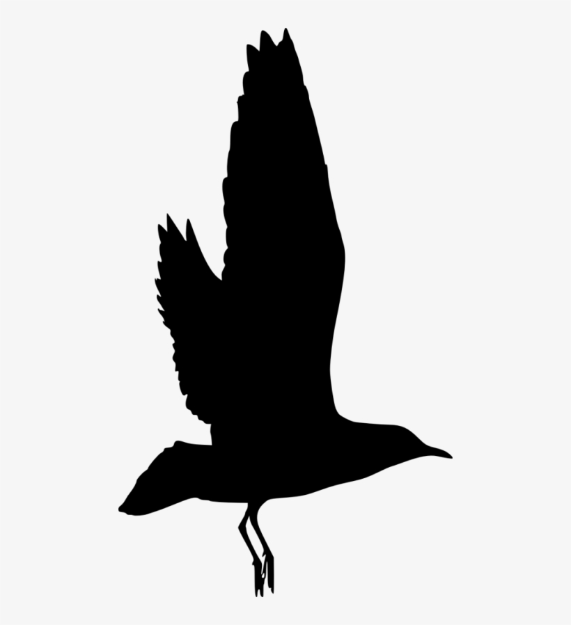 Free Png Bird Silhouette Png Images Transparent - Silhouette, transparent png download