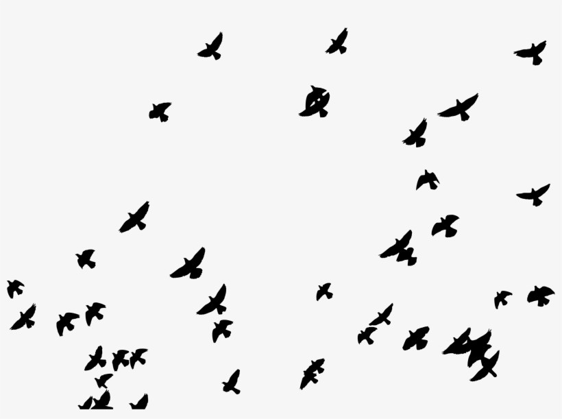 This Free Icons Png Design Of Flock Of Pigeons Silhouette, transparent png download