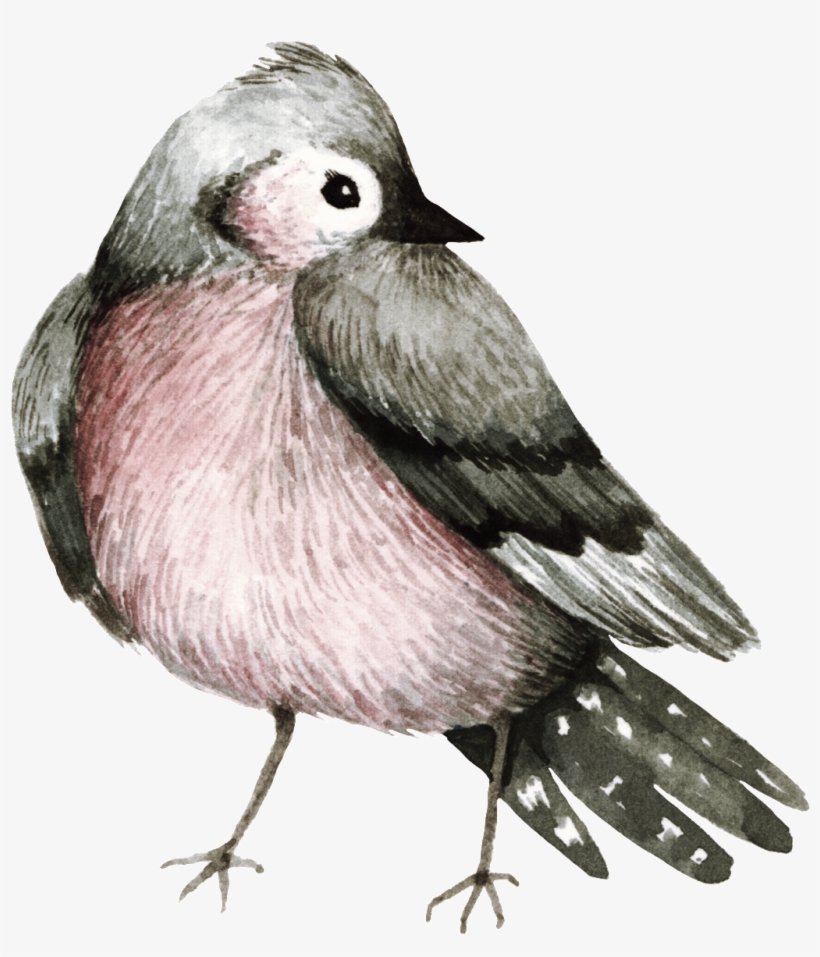 Practical Watercolor Bird Decoration Transparent - Watercolor Painting, transparent png download