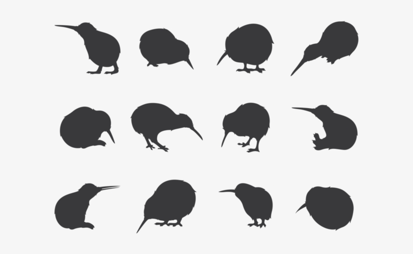 Birds Vector Kiwi - Kiwi Bird Silhouette, transparent png download