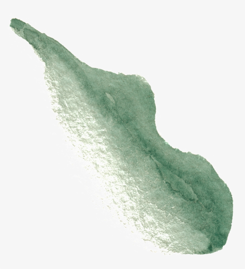 Png Transparente De Ramas Y Hojas Ornamentales De Calabaza - Calabash, transparent png download