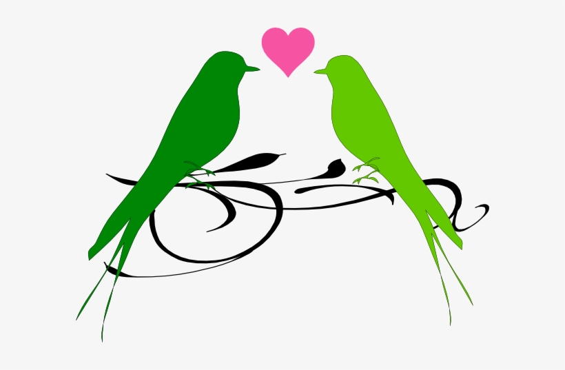 Clip Transparent Download Green Bird Clipart - Clip Art, transparent png download