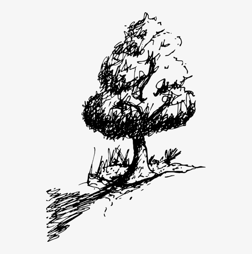 Pine Family Silhouette Line Art Visual Arts Cartoon - Clip Art, transparent png download