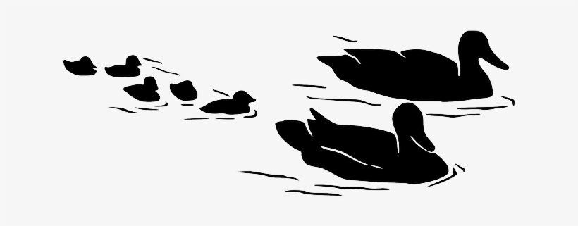 Water, Silhouette, Kids, Mom, Birds, Flying, Swimming - Ducks On Water Silhouette, transparent png download