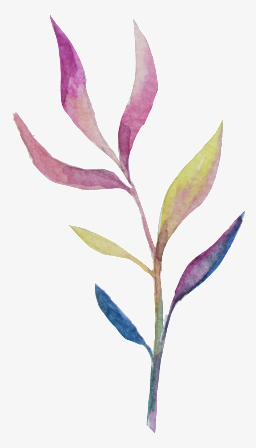 Png Transparente De Ramas Y Hojas Ornamentales Para - Purple, transparent png download