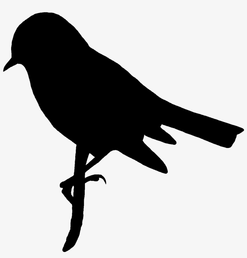 Digital Bird Silhouette Downloads - Digital Stamp, transparent png download