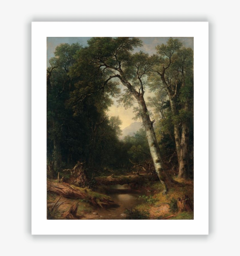 A Creek In The Woods - Asher Brown Durand Art Hd, transparent png download