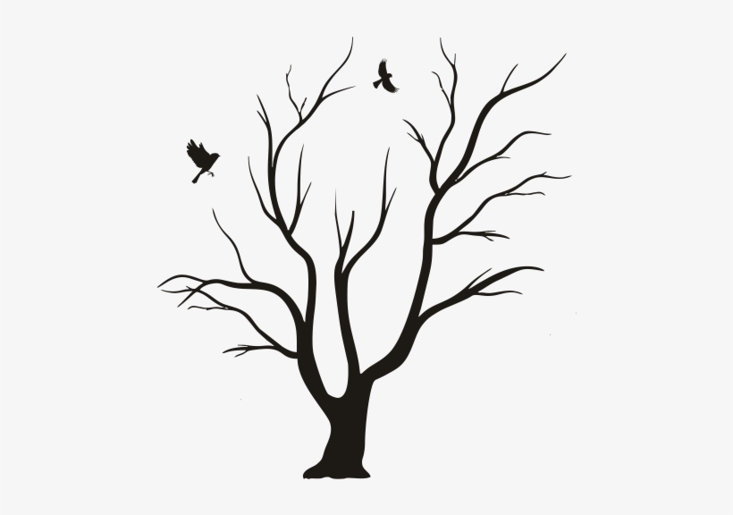 Se Aplica En Todas La Ramas Del Derecho - Arboles Sin Hojas Para Decorar, transparent png download