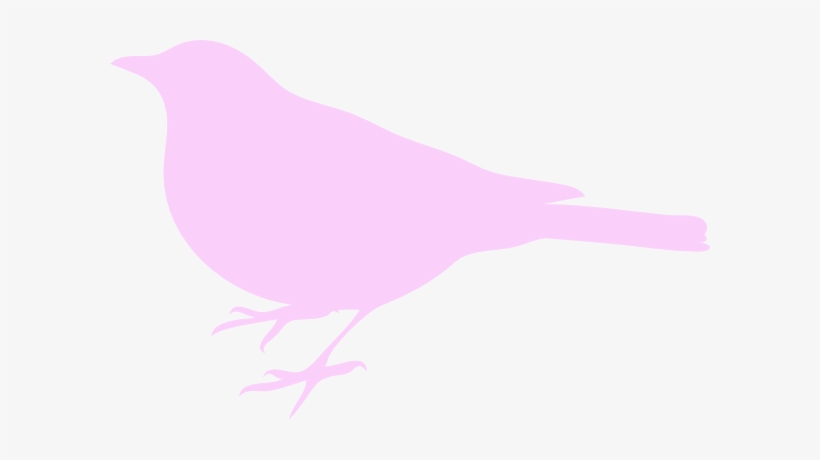 Pink Bird Silhouette - Transparent Birds Silhouette Clipart, transparent png download