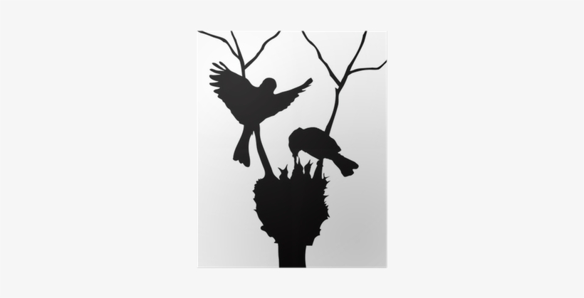 Familias De Aves Siluetas, transparent png download