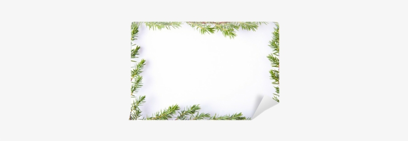 Picture Frame, transparent png download