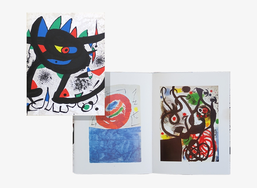 Exhibition Catalogue De - Miro Paintings, transparent png download