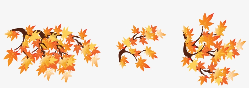 Fall Branches Png, transparent png download