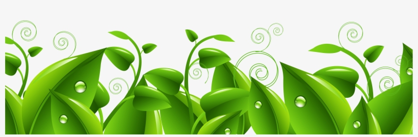 Foliage Clipart Leaves Grass - Grass Leaves Clip Art, transparent png download