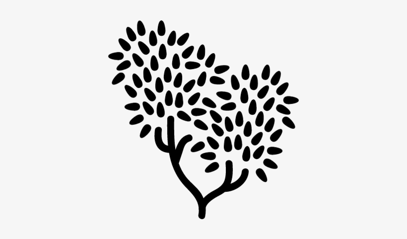 Tree With Leaves Foliage Vector - Portable Network Graphics, transparent png download