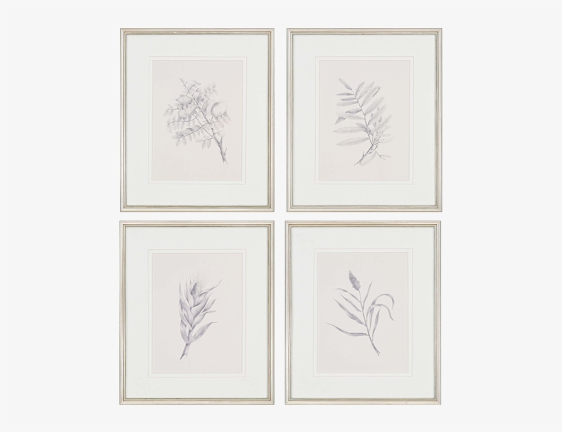 Foliage Pk/4 - Sketch, transparent png download