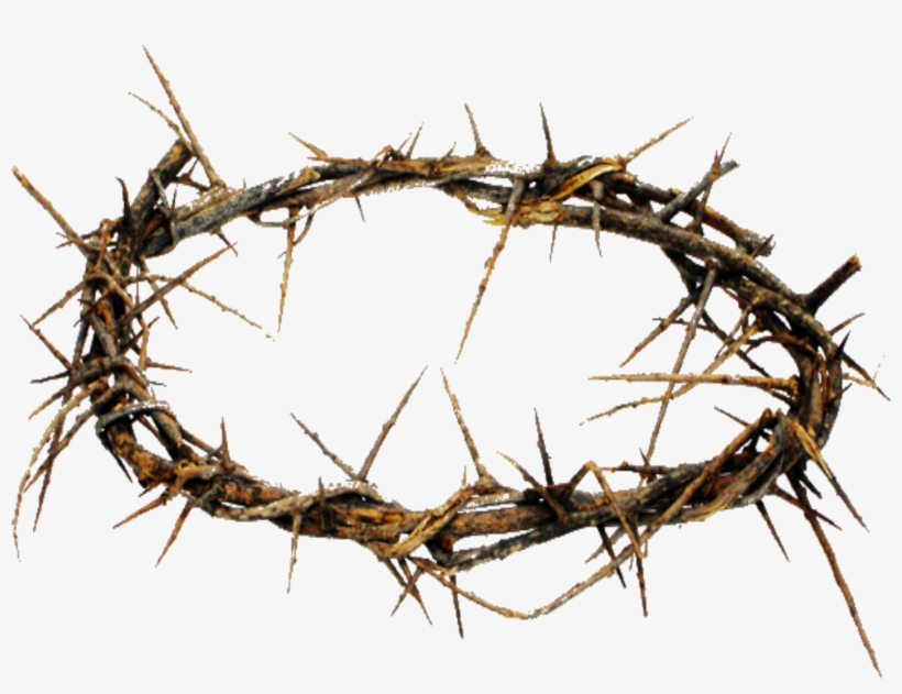 Crown Of Thorns Png Hd Transparent Crown Of Thorns - Corona De Espinas Png, transparent png download