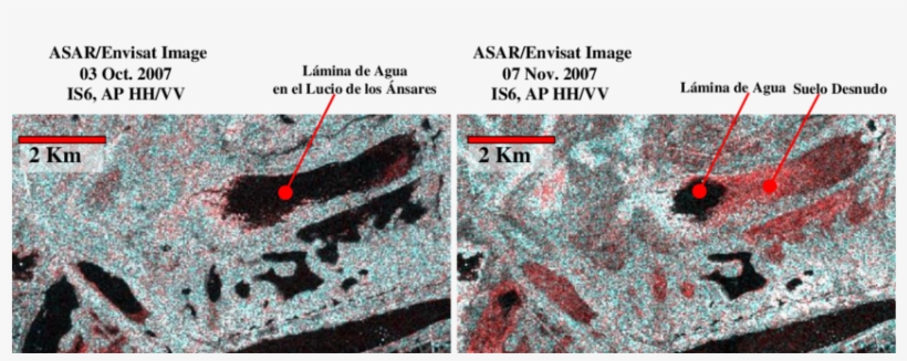 Imáges Asar Del Lucio De Los Ánsares Del 3 De Octubre - 2007, transparent png download