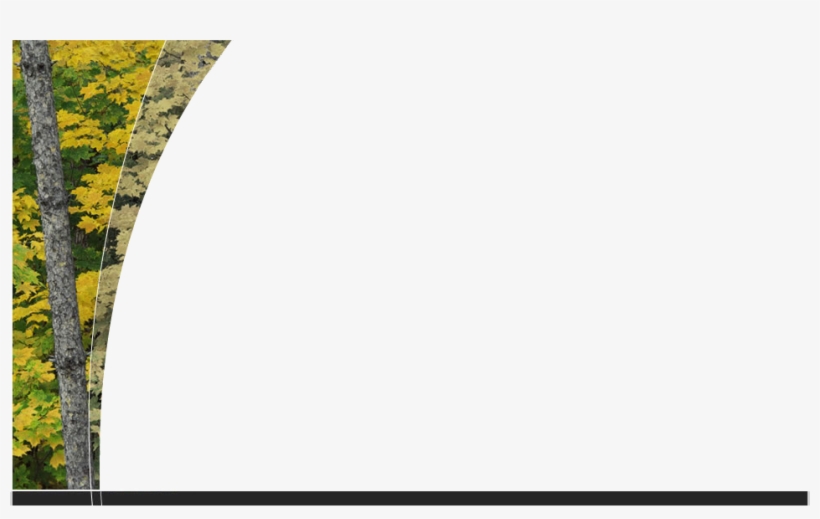 American Foliage, transparent png download