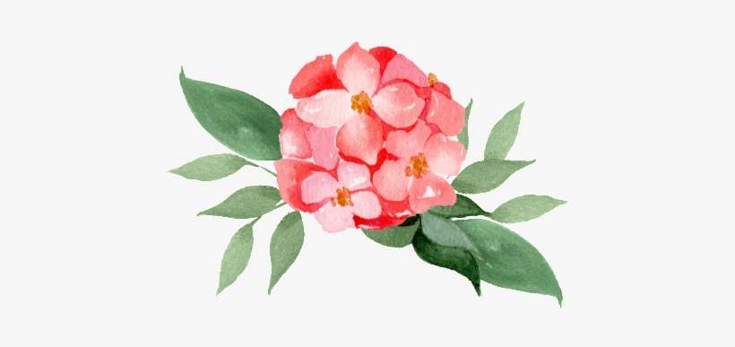 Floral Bouquet Of Transparent Material - Flower, transparent png download