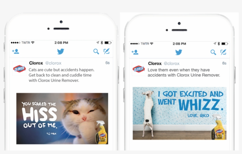 Clorox Twitter Ads Martha Lees - Domestic Short-haired Cat, transparent png download