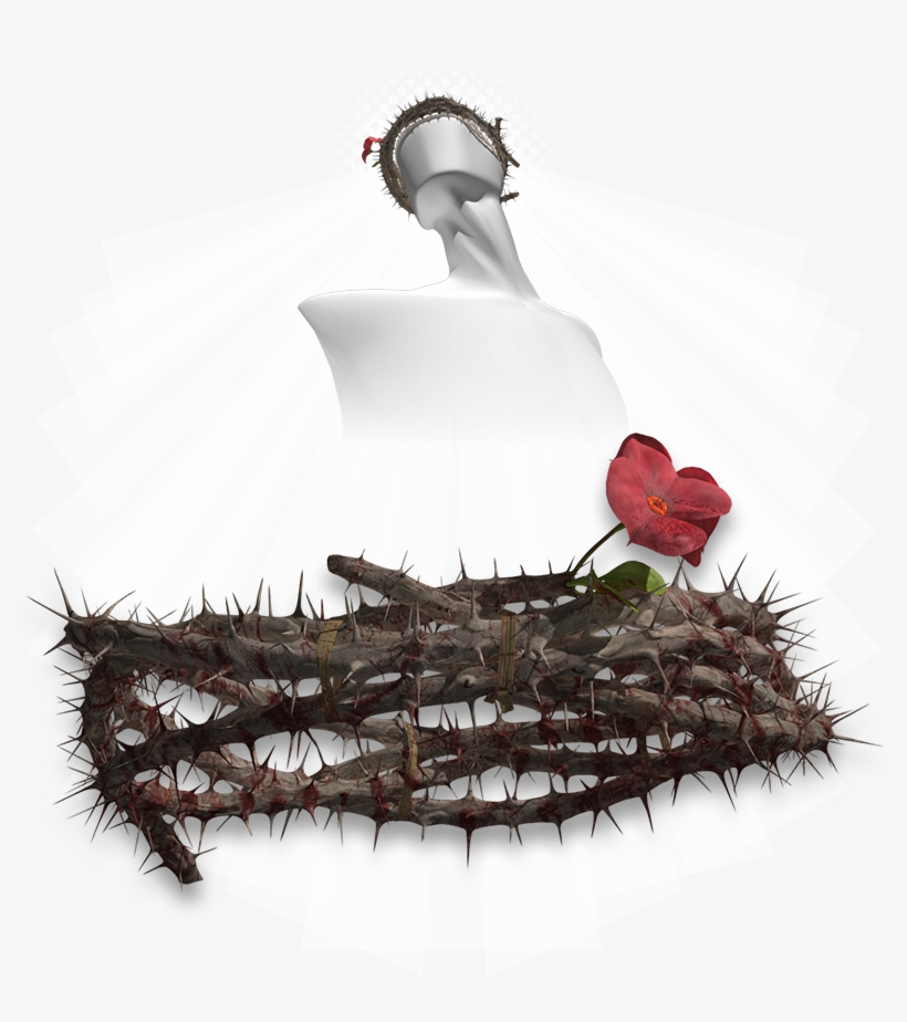 Crown Of Thorns - Architecture, transparent png download