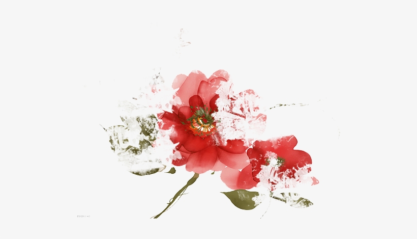 Capa Divas Tvd - Flower, transparent png download