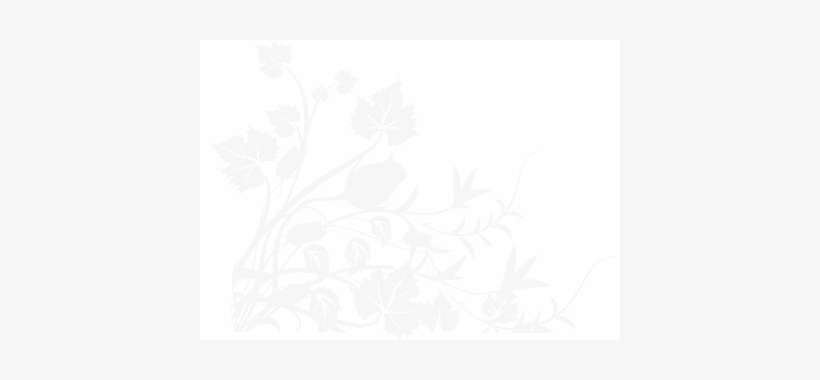 Vintage Floral Pattern Black And White Vector Png Flower - .net, transparent png download