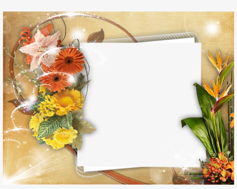 Szeptember 19 - - 假 花 图片, transparent png download