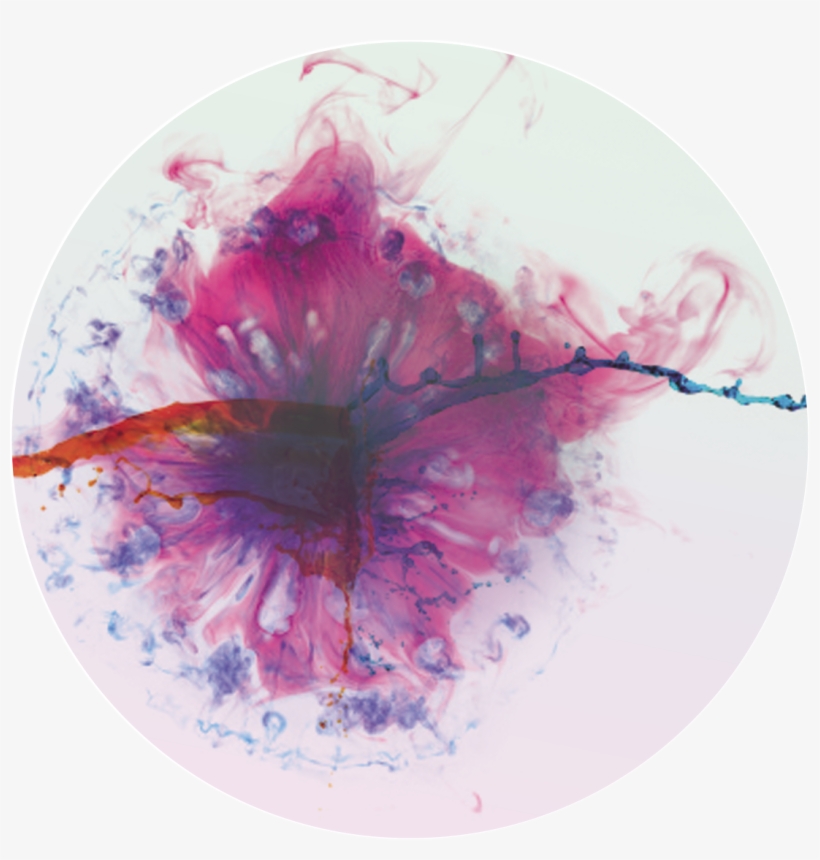 Brand - Water, transparent png download