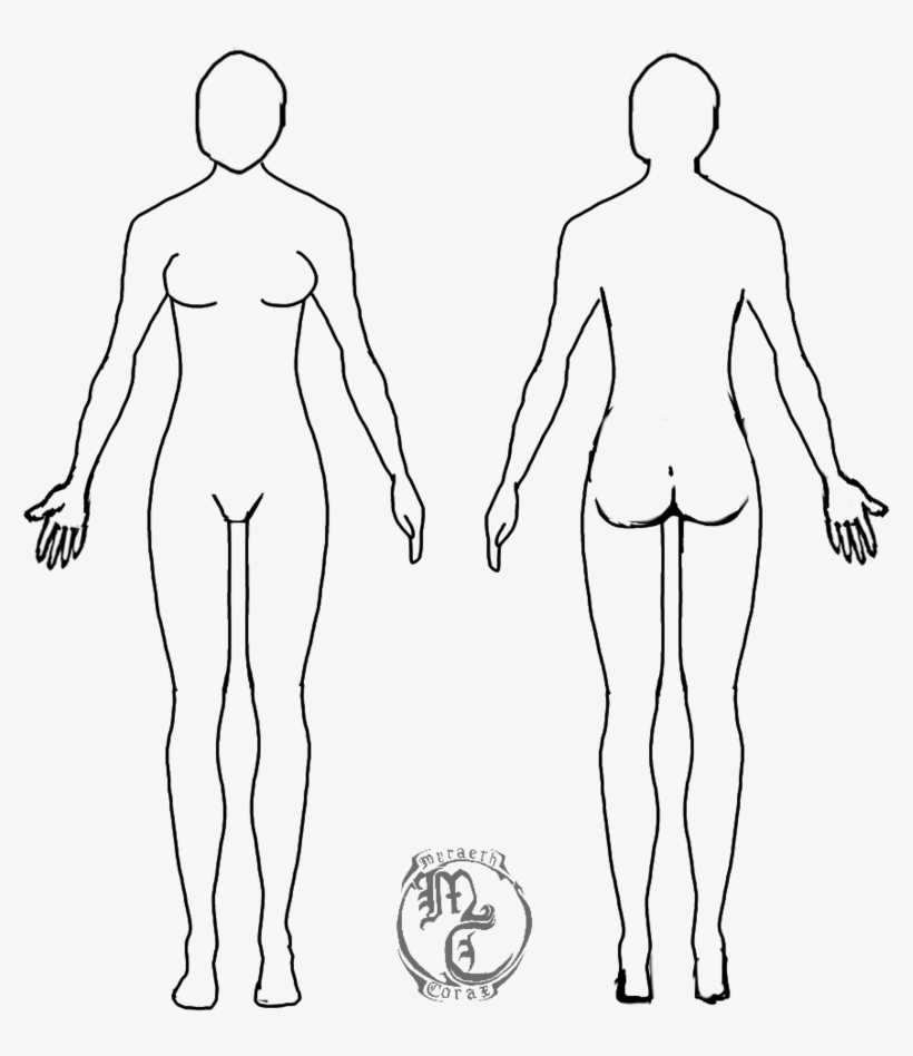 Drawing Format Person - Cuerpo Humano Mujer Dibujo, transparent png download