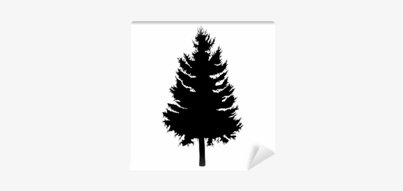 Hand Drawn Fir Tree Vector Illustration - Pine, transparent png download