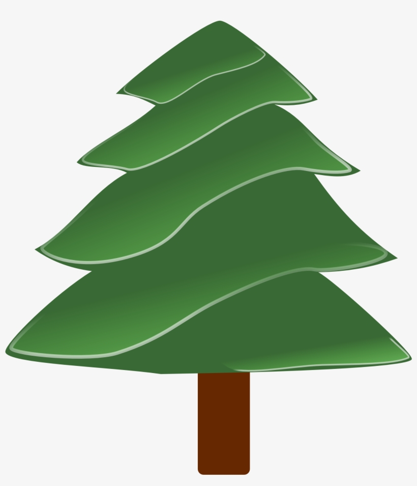 Christmas Plant Xmas Pine Free Photo From - Evergreen Clipart, transparent png download