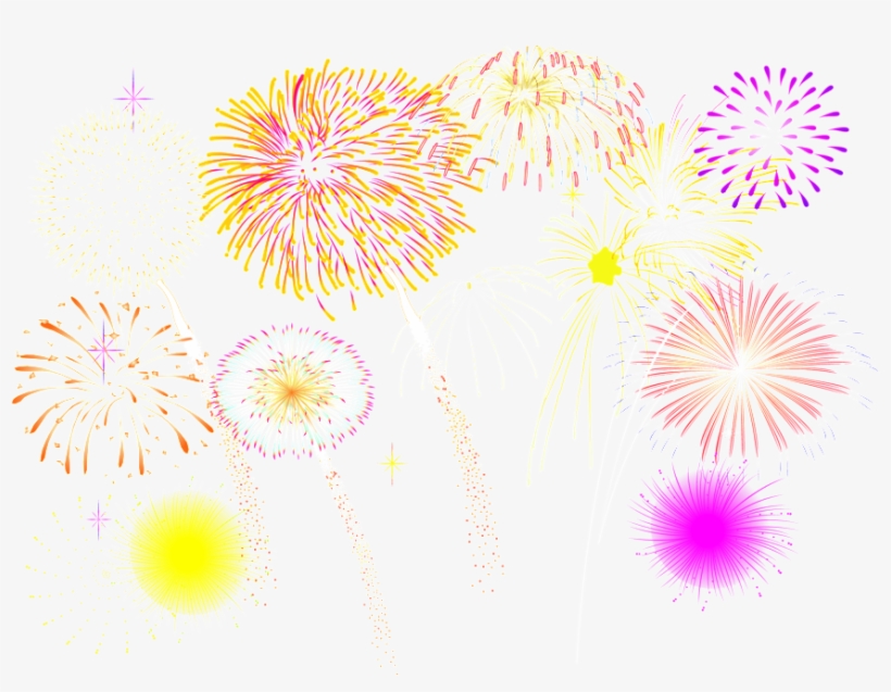 Various Colors Of Fireworks New Year Png - Floral Design, transparent png download