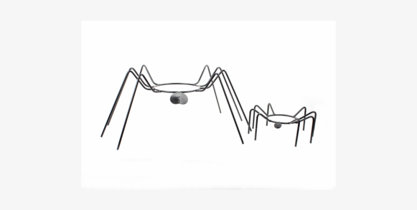 Insect, transparent png download